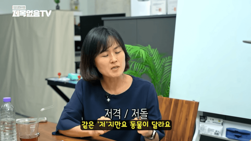 DC Inside 이미지 2