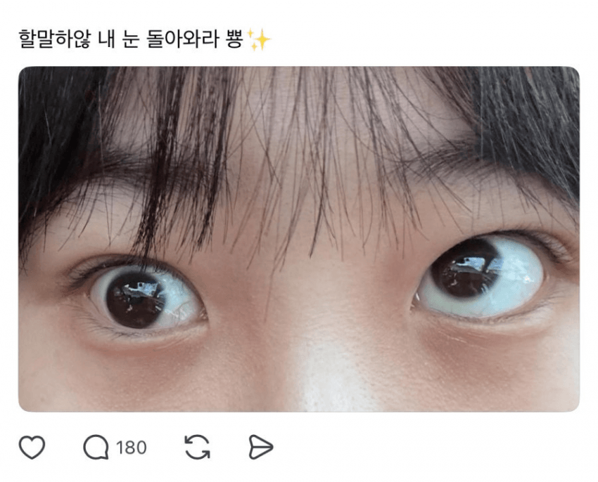 DC Inside 이미지 12