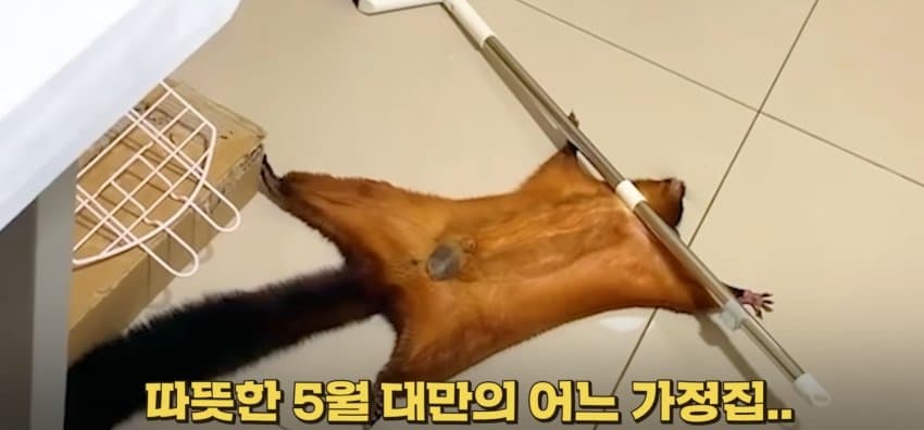 DC Inside 이미지 1