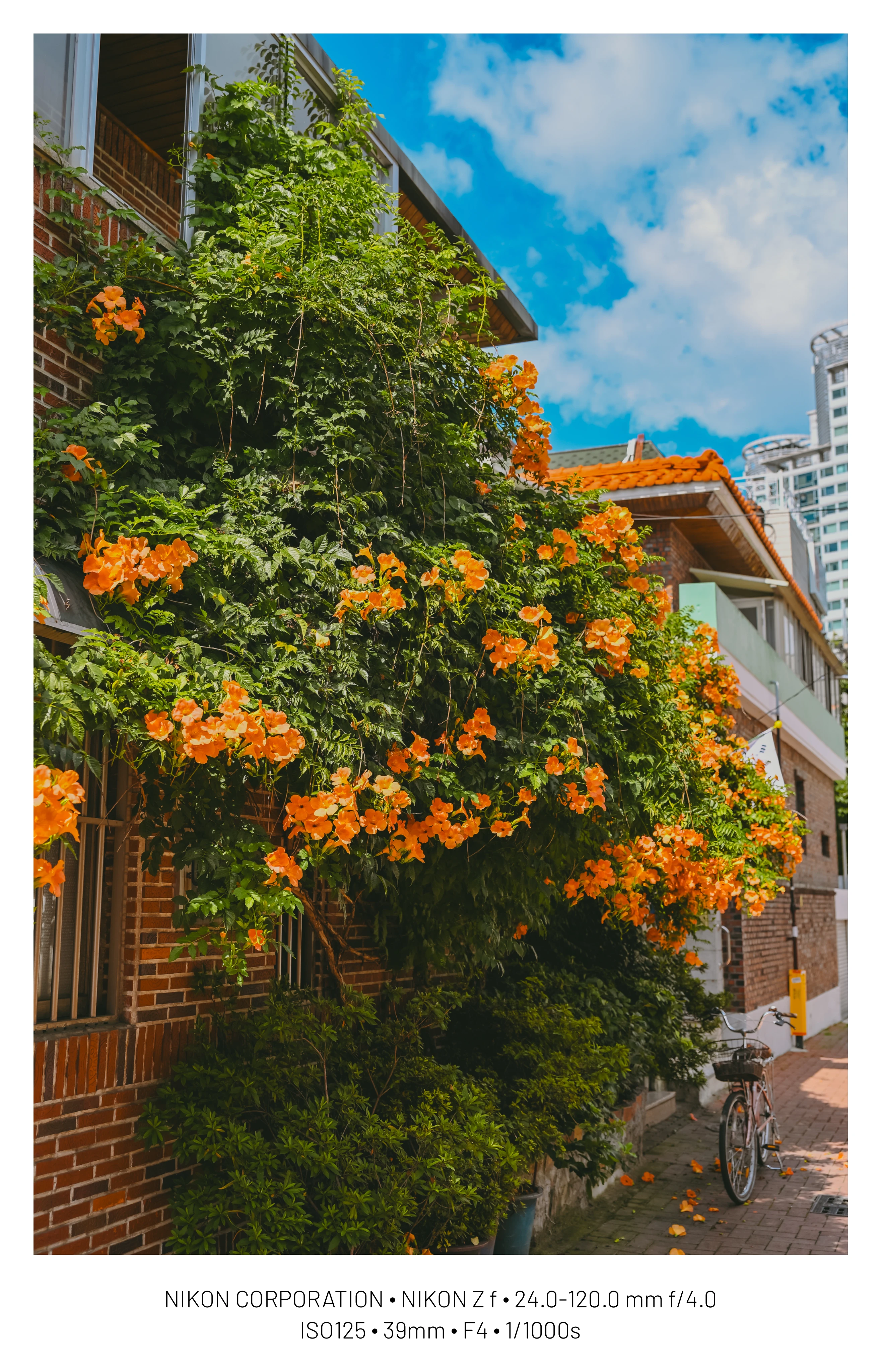 DC Inside 이미지 10