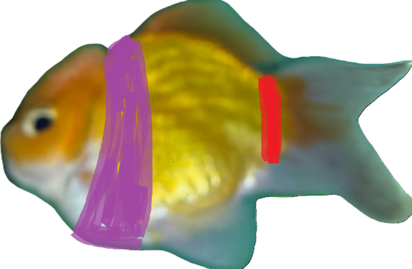 DC Inside 이미지 7