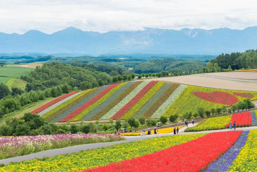 DC Inside 이미지 11