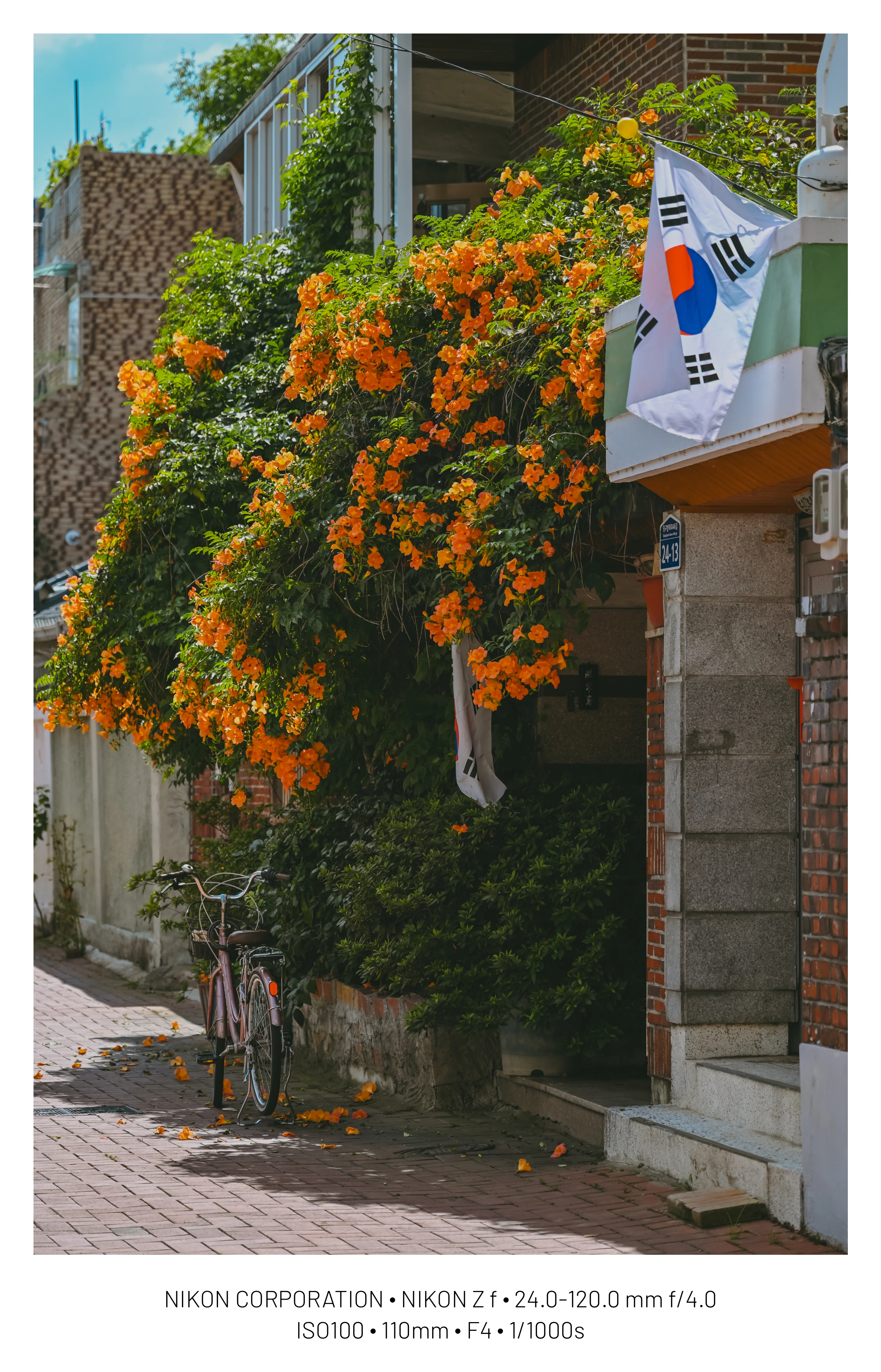 DC Inside 이미지 8