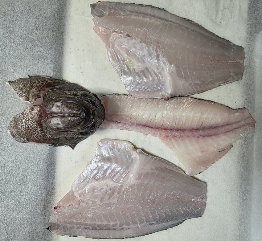 DC Inside 이미지 12