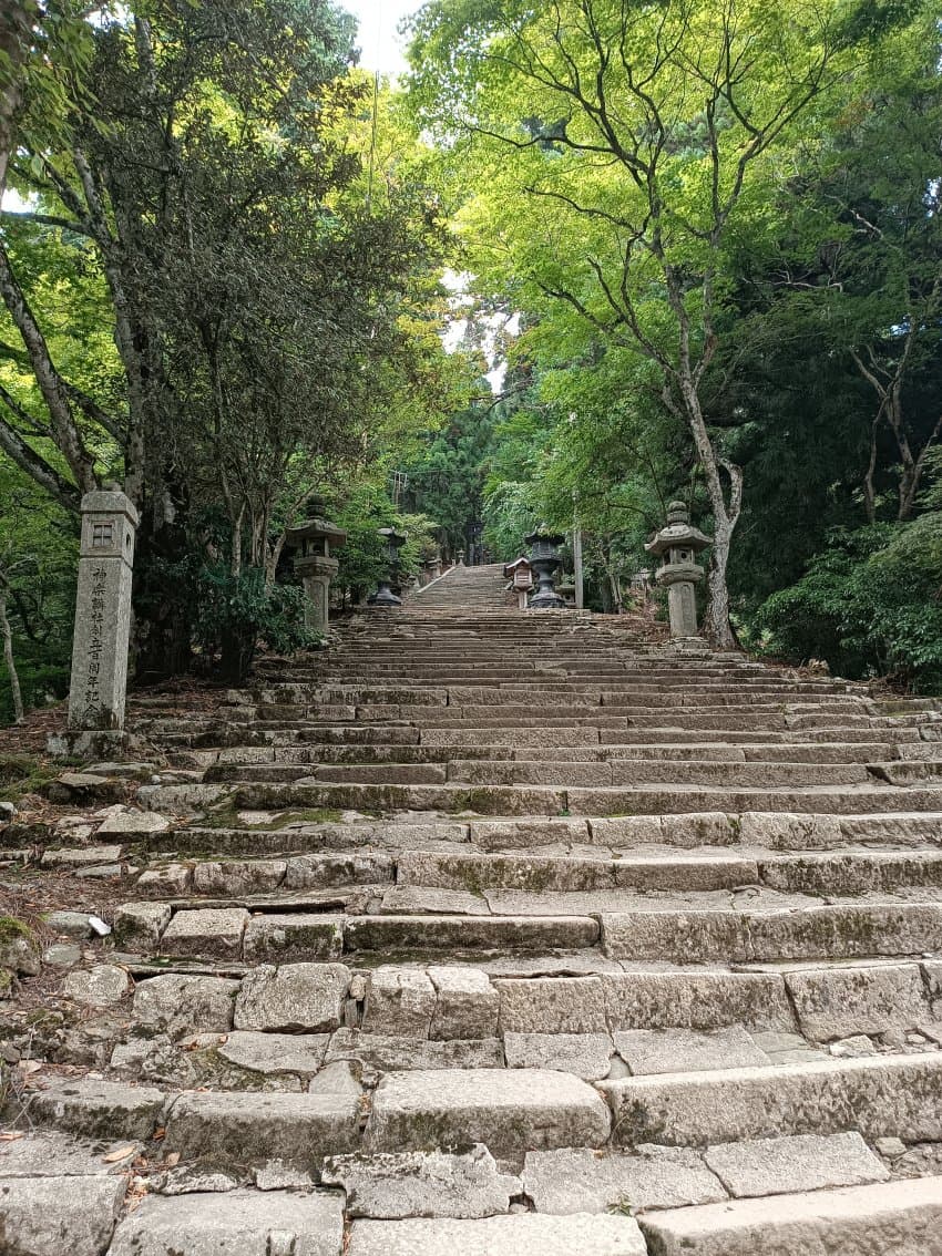 DC Inside 이미지 17