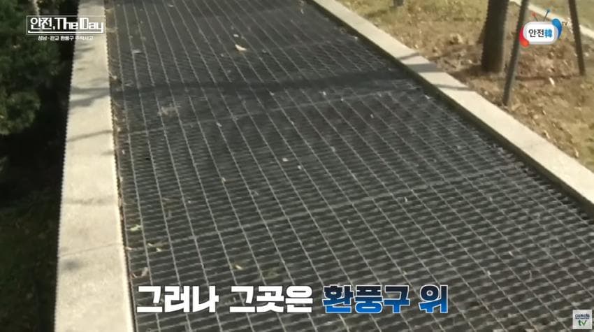 DC Inside 이미지 12