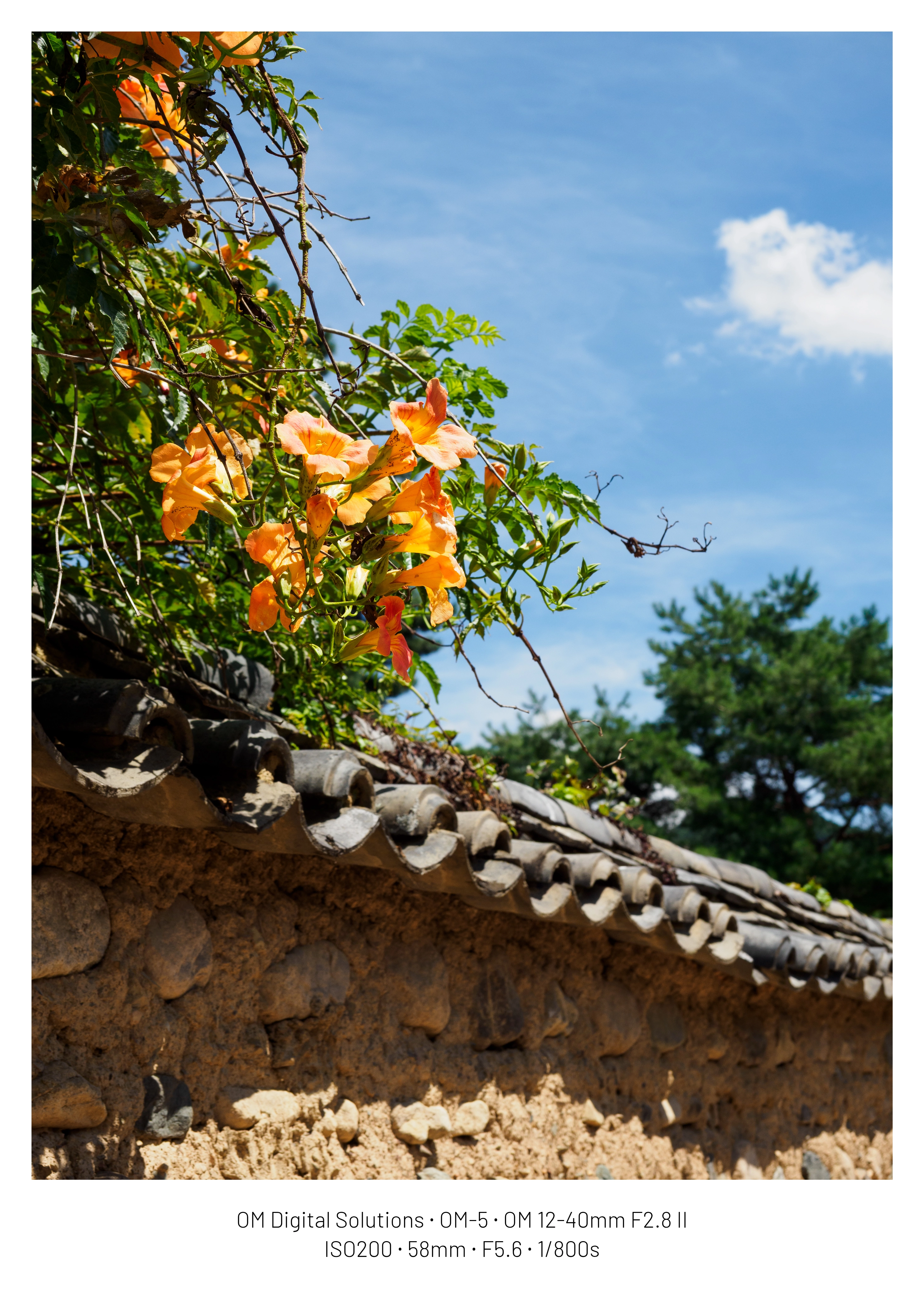 DC Inside 이미지 7