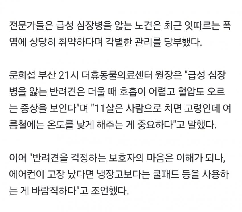 DC Inside 이미지 4