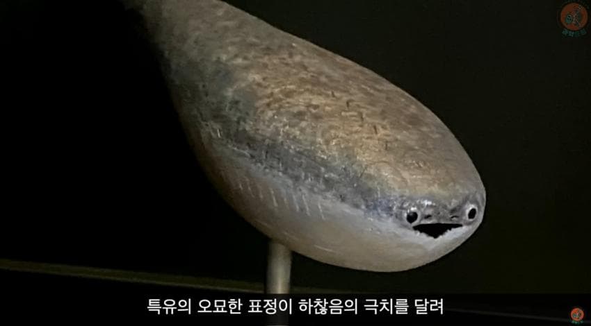 DC Inside 이미지 6