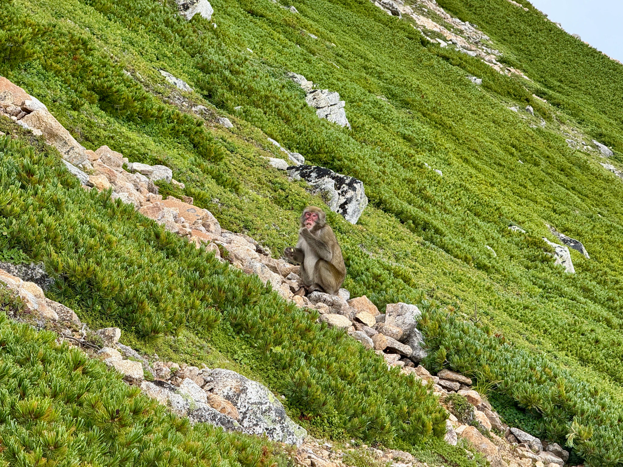 DC Inside 이미지 9