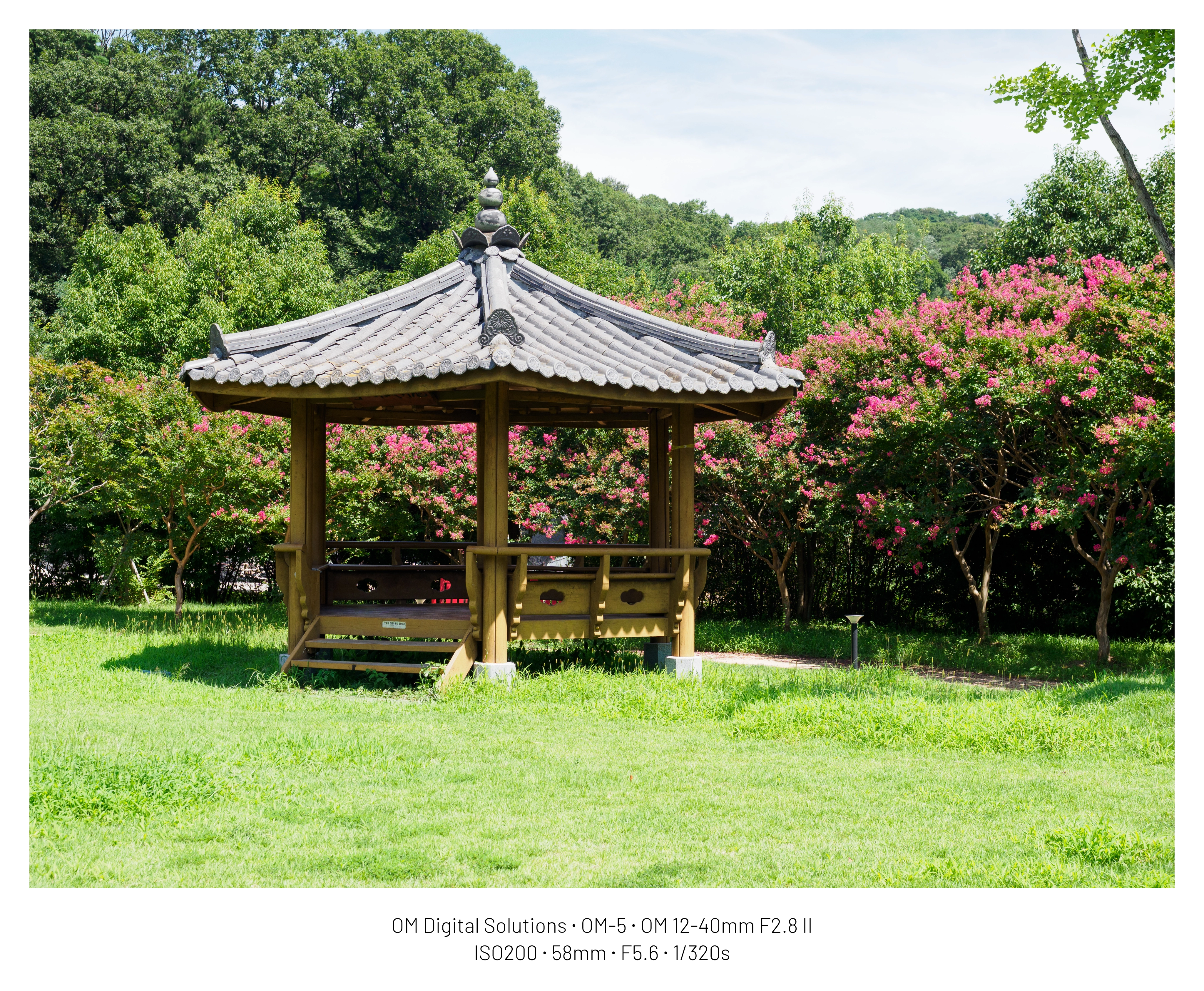 DC Inside 이미지 6