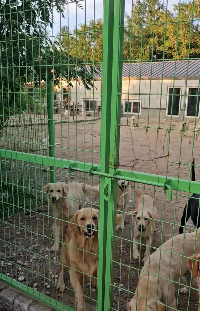 DC Inside 이미지 7