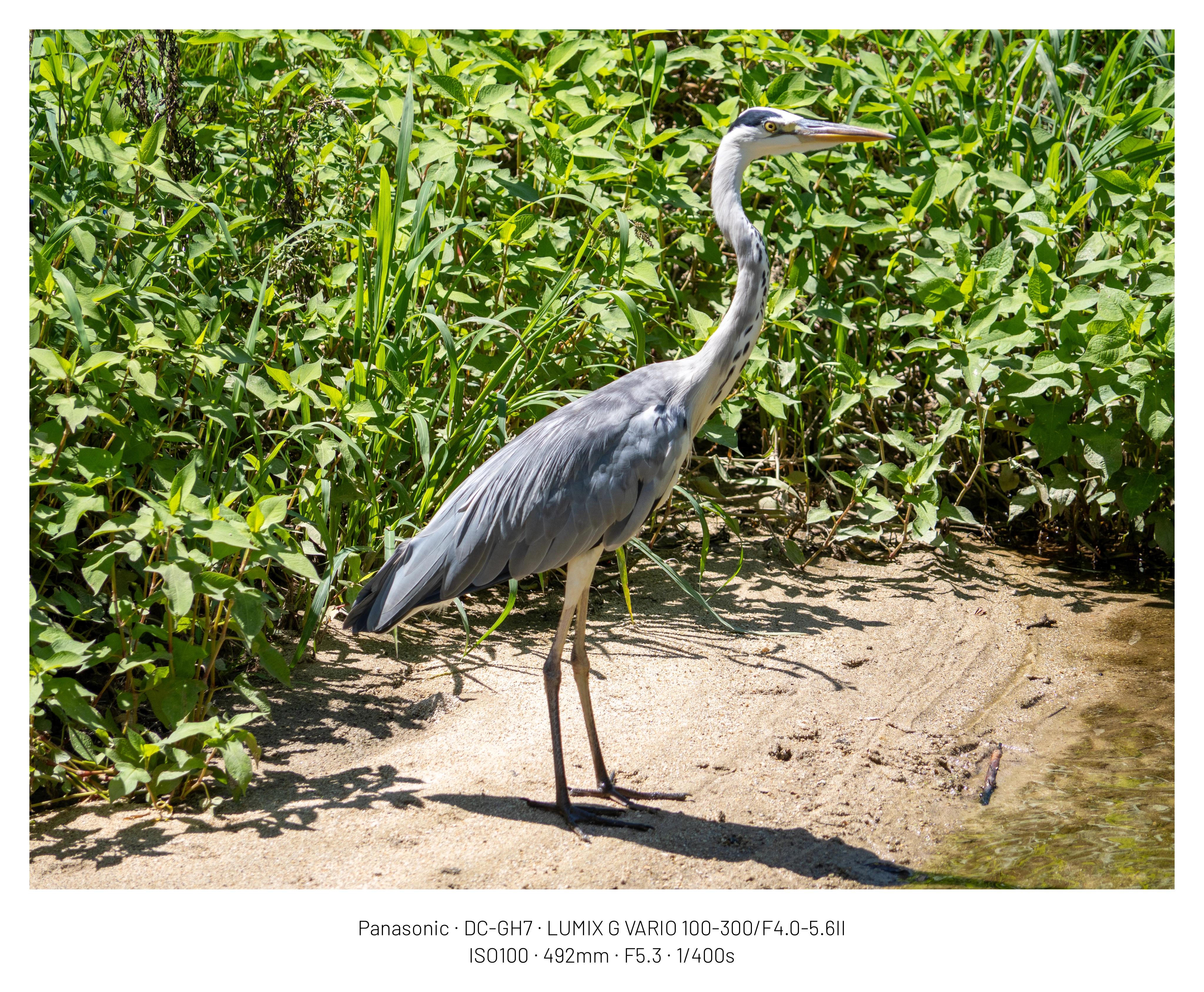 DC Inside 이미지 5