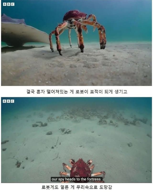 DC Inside 이미지 5