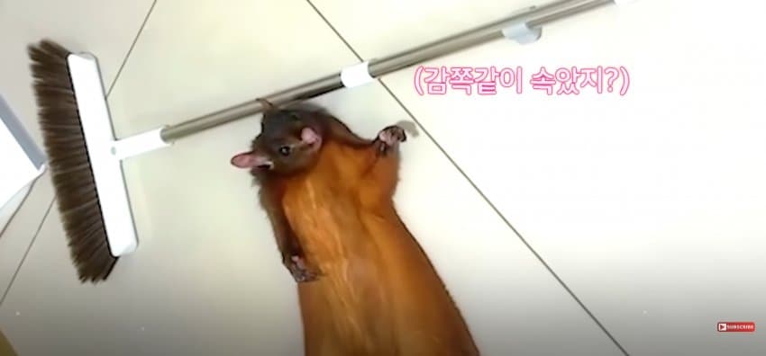 DC Inside 이미지 16