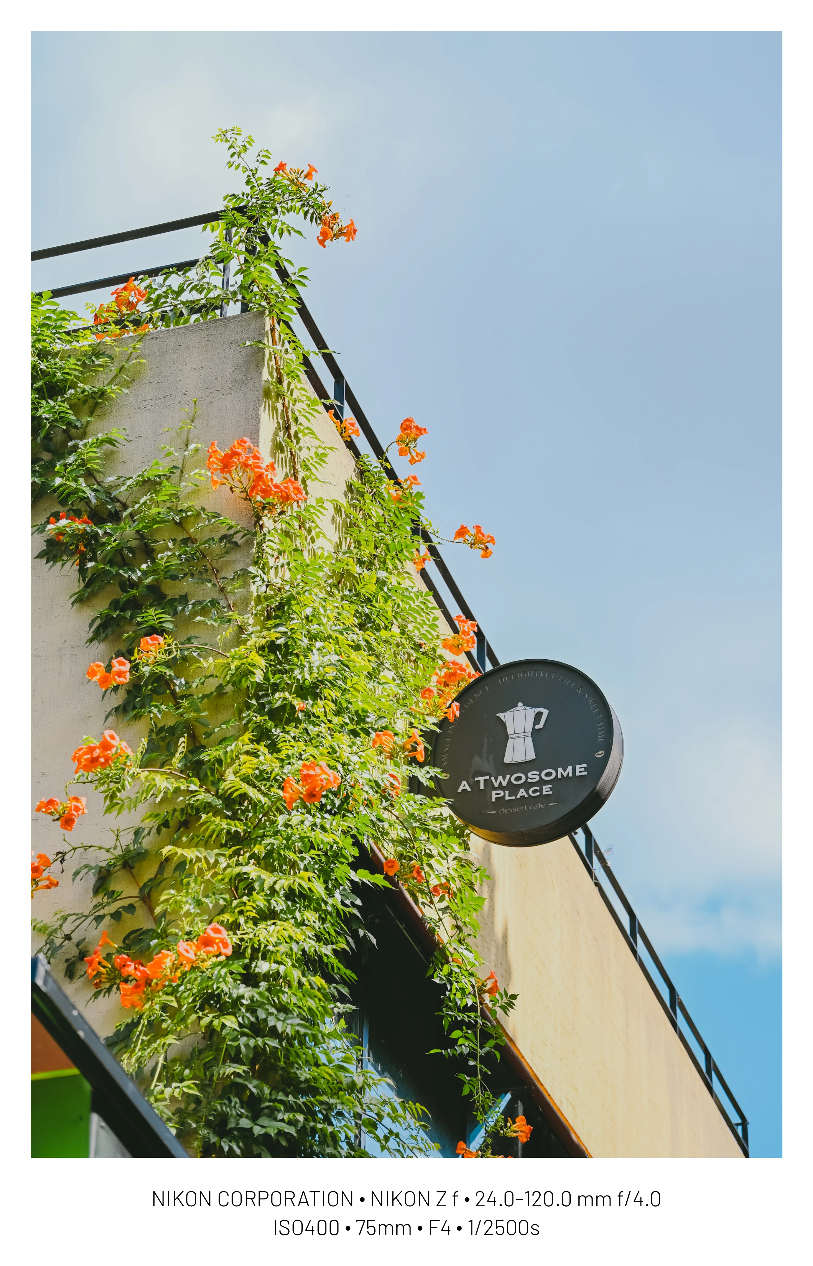 DC Inside 이미지 11