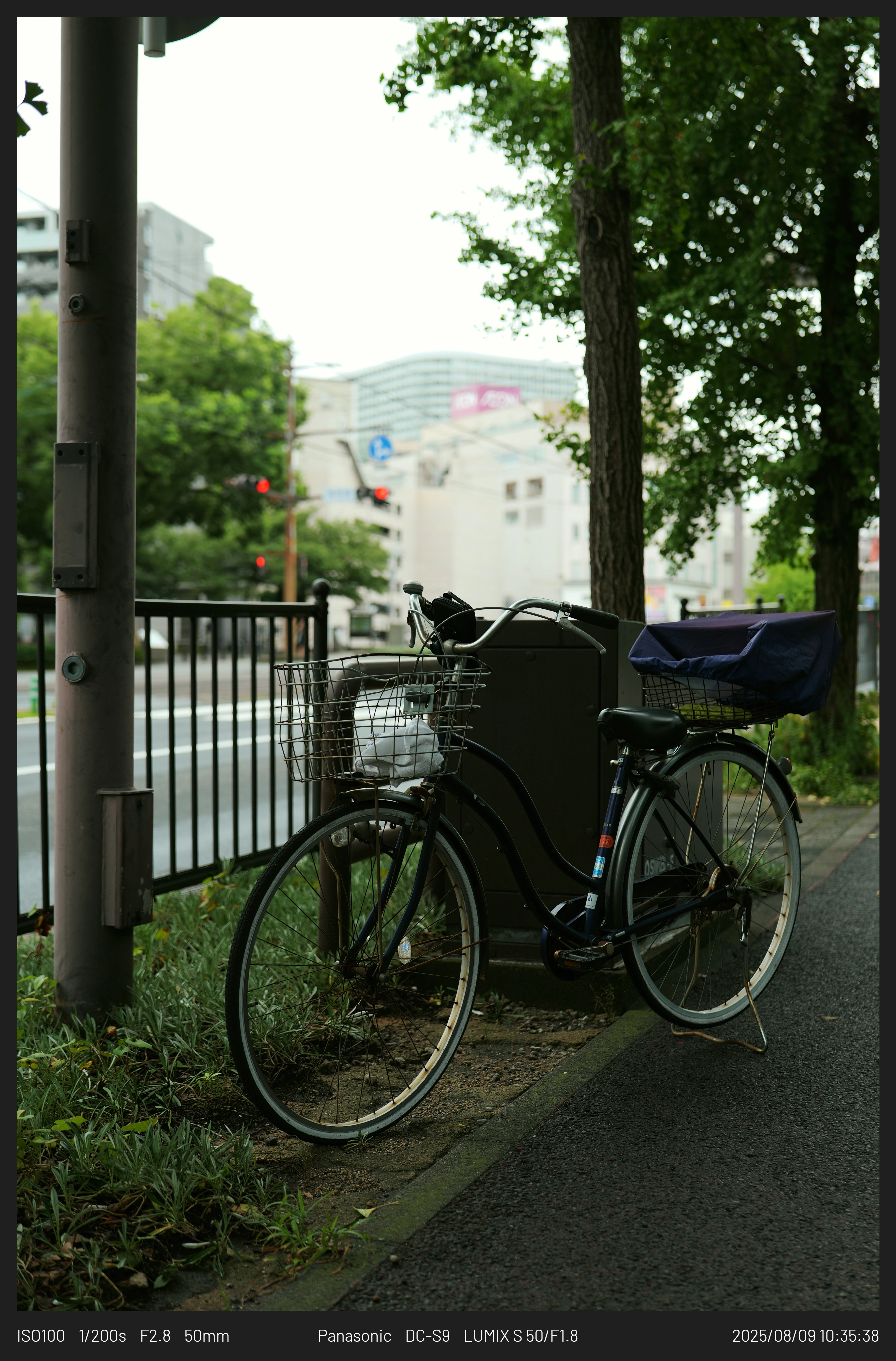 DC Inside 이미지 18