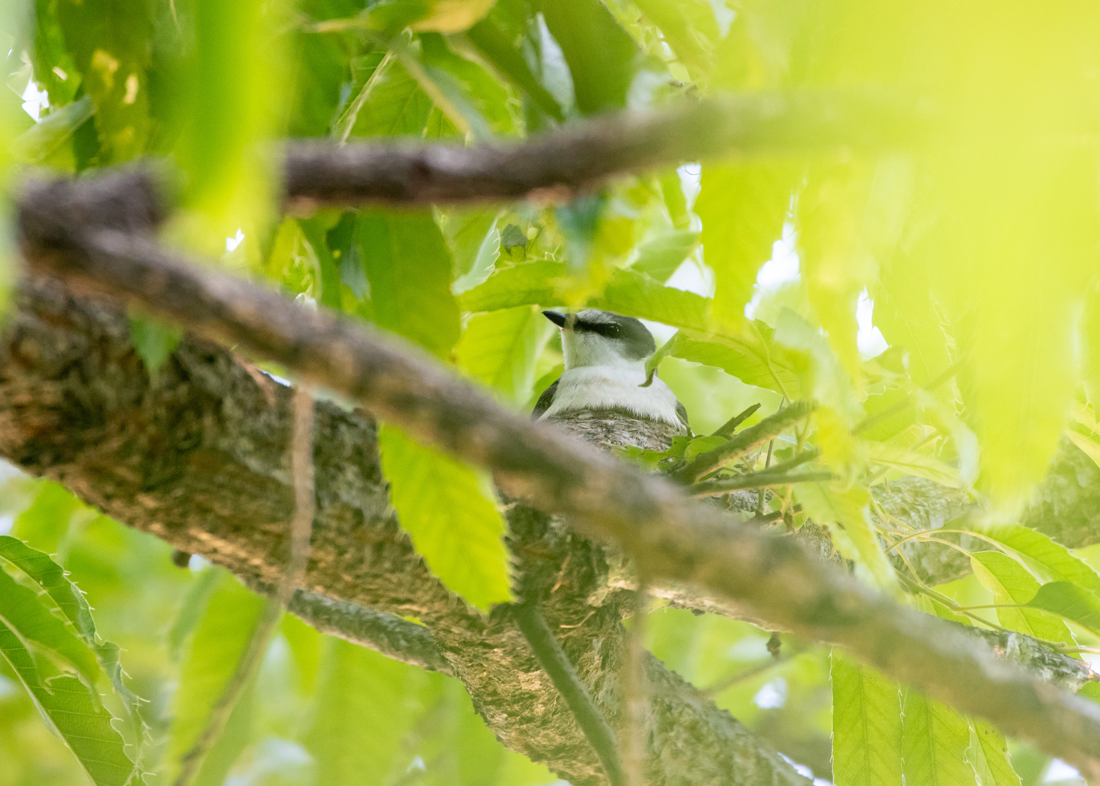 DC Inside 이미지 9