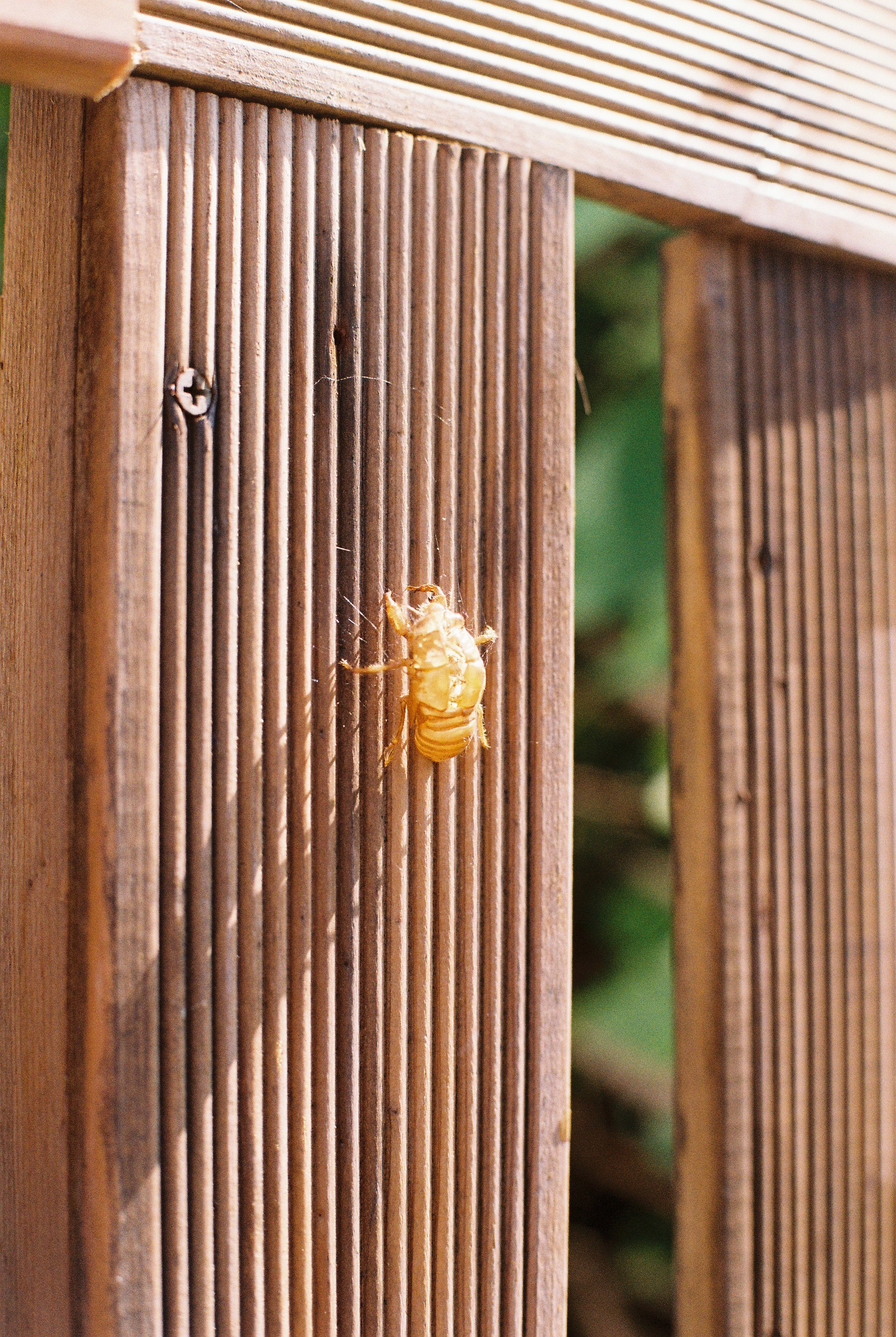 DC Inside 이미지 10