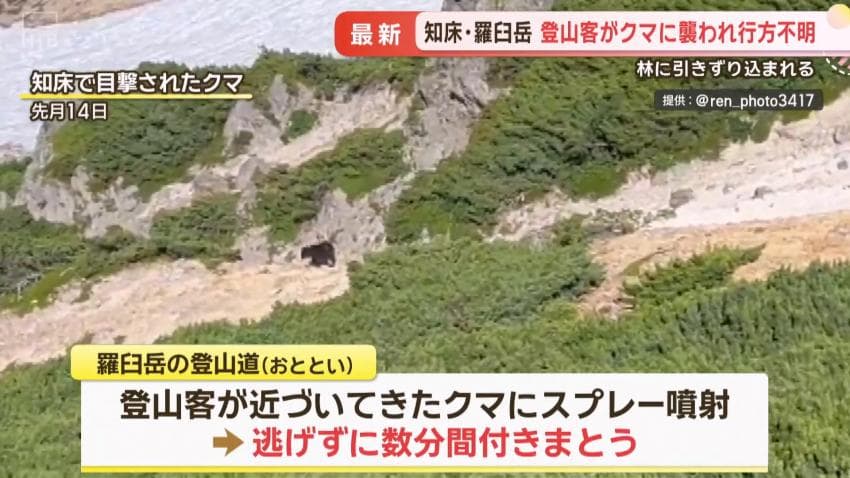 DC Inside 이미지 16