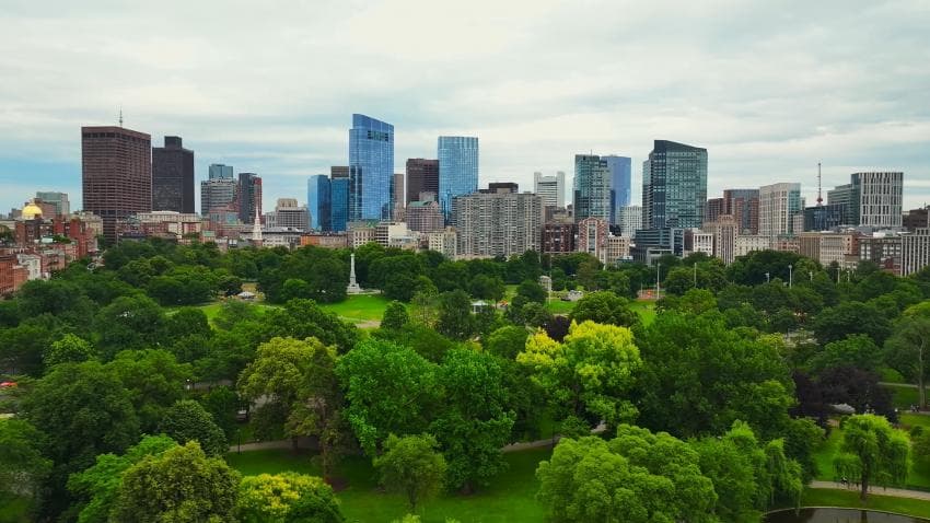 DC Inside 이미지 5