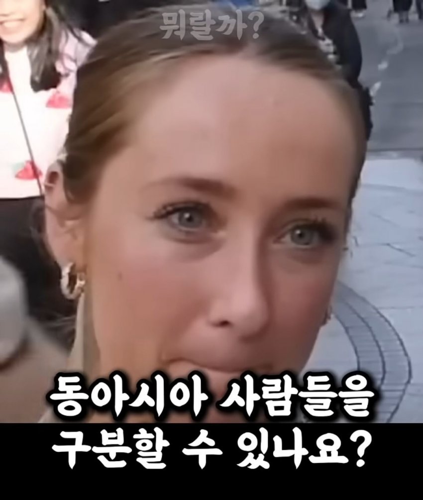 DC Inside 이미지 2