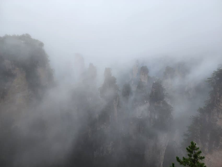 DC Inside 이미지 6