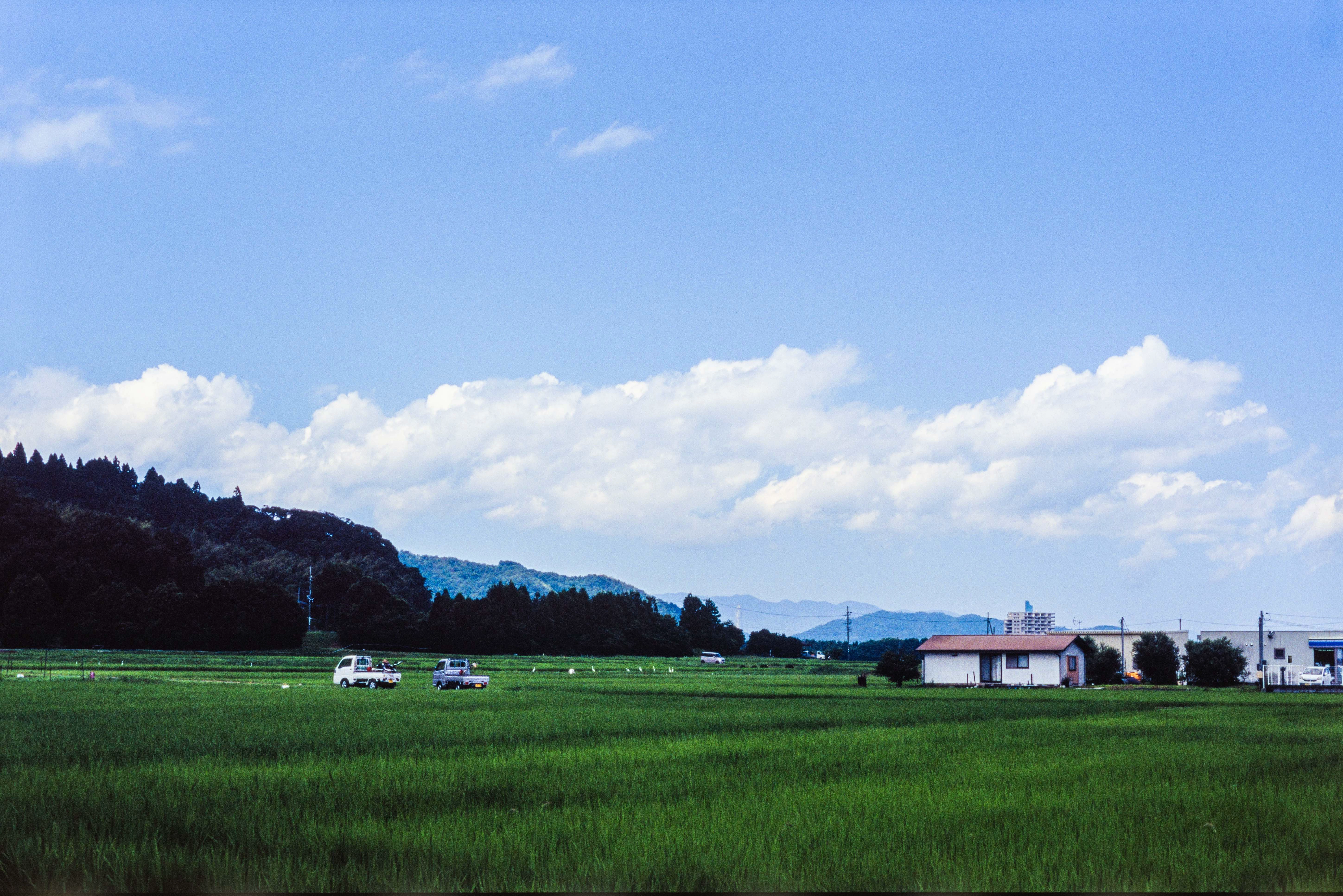 DC Inside 이미지 15