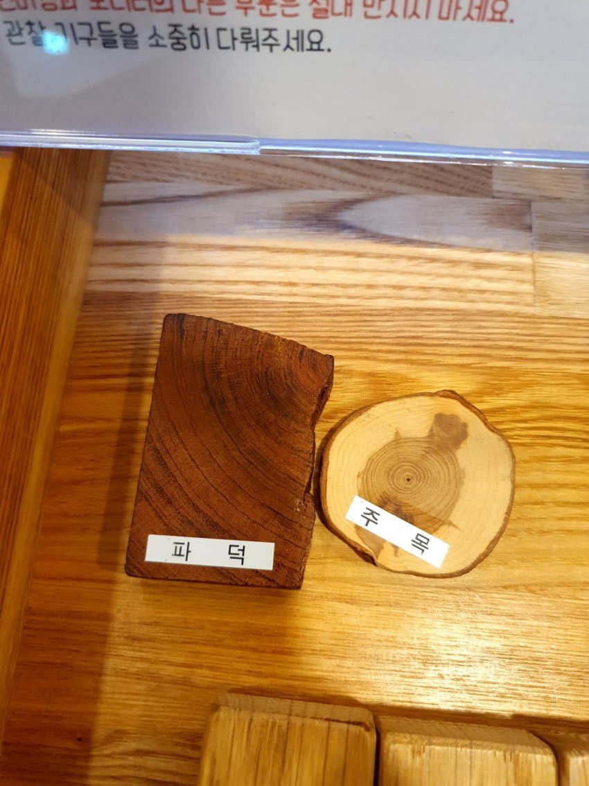 DC Inside 이미지 3