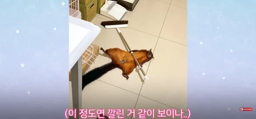 DC Inside 이미지 5