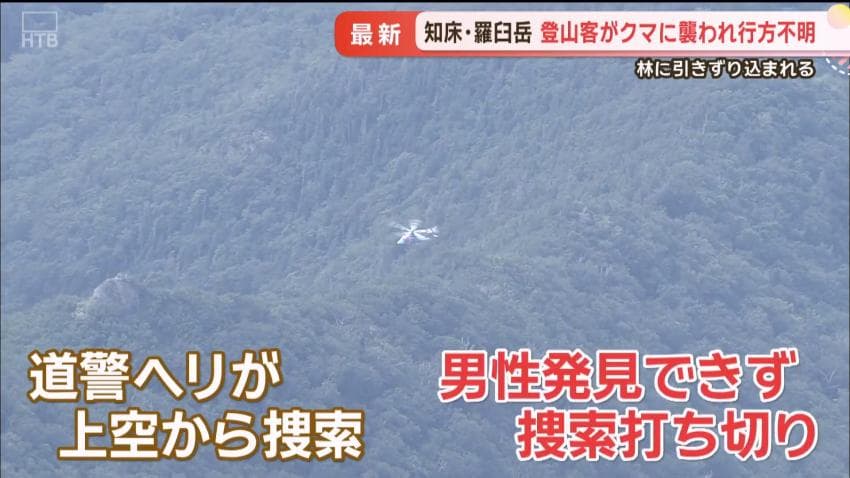 DC Inside 이미지 10