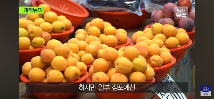 DC Inside 이미지 14