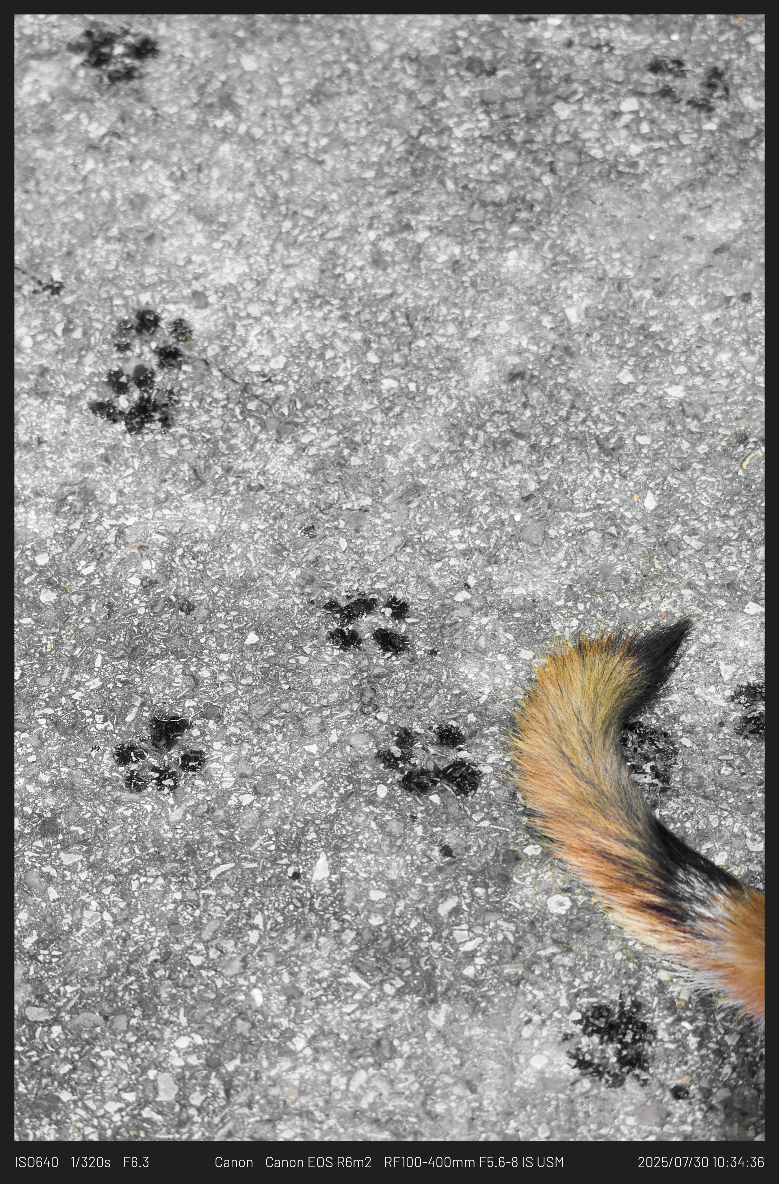 DC Inside 이미지 5