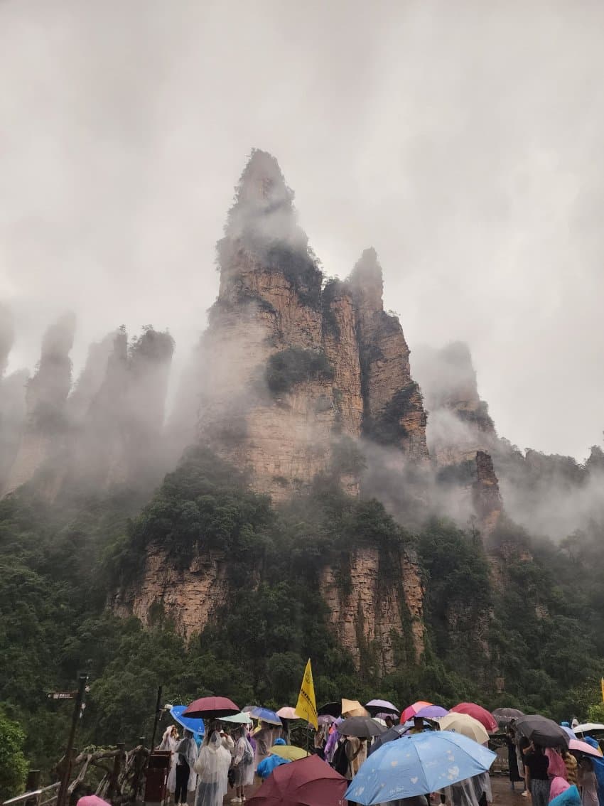 DC Inside 이미지 7