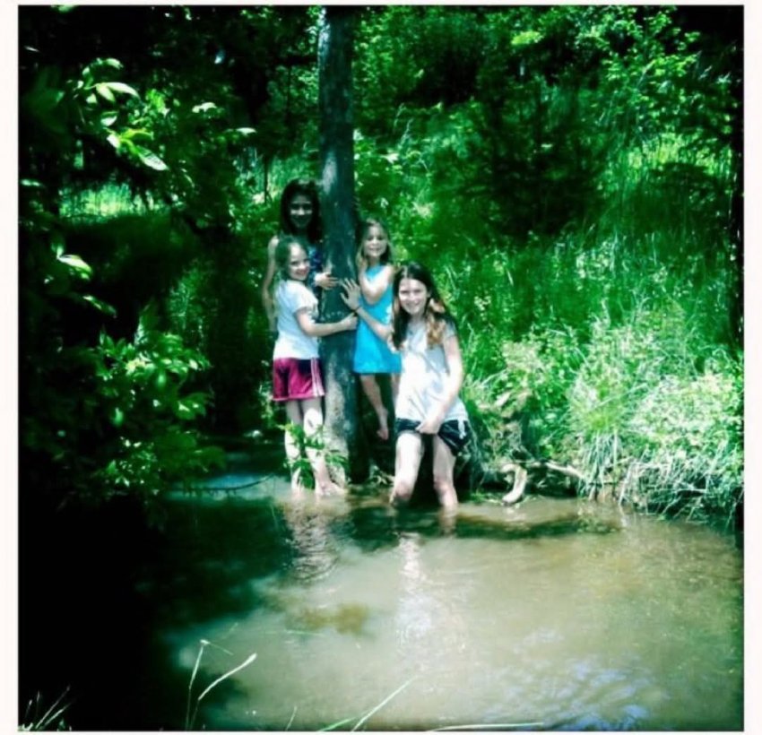 DC Inside 이미지 8