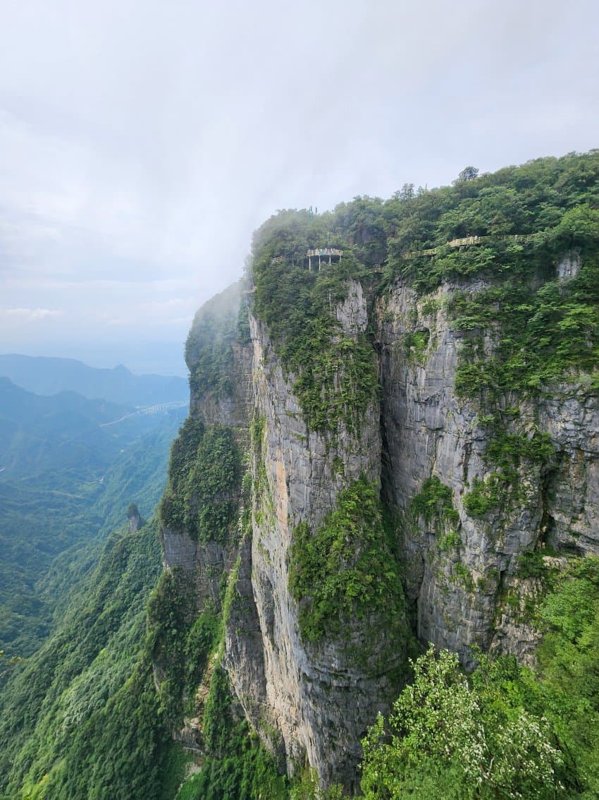 DC Inside 이미지 5