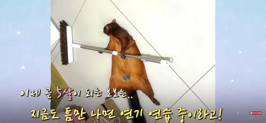 DC Inside 이미지 15