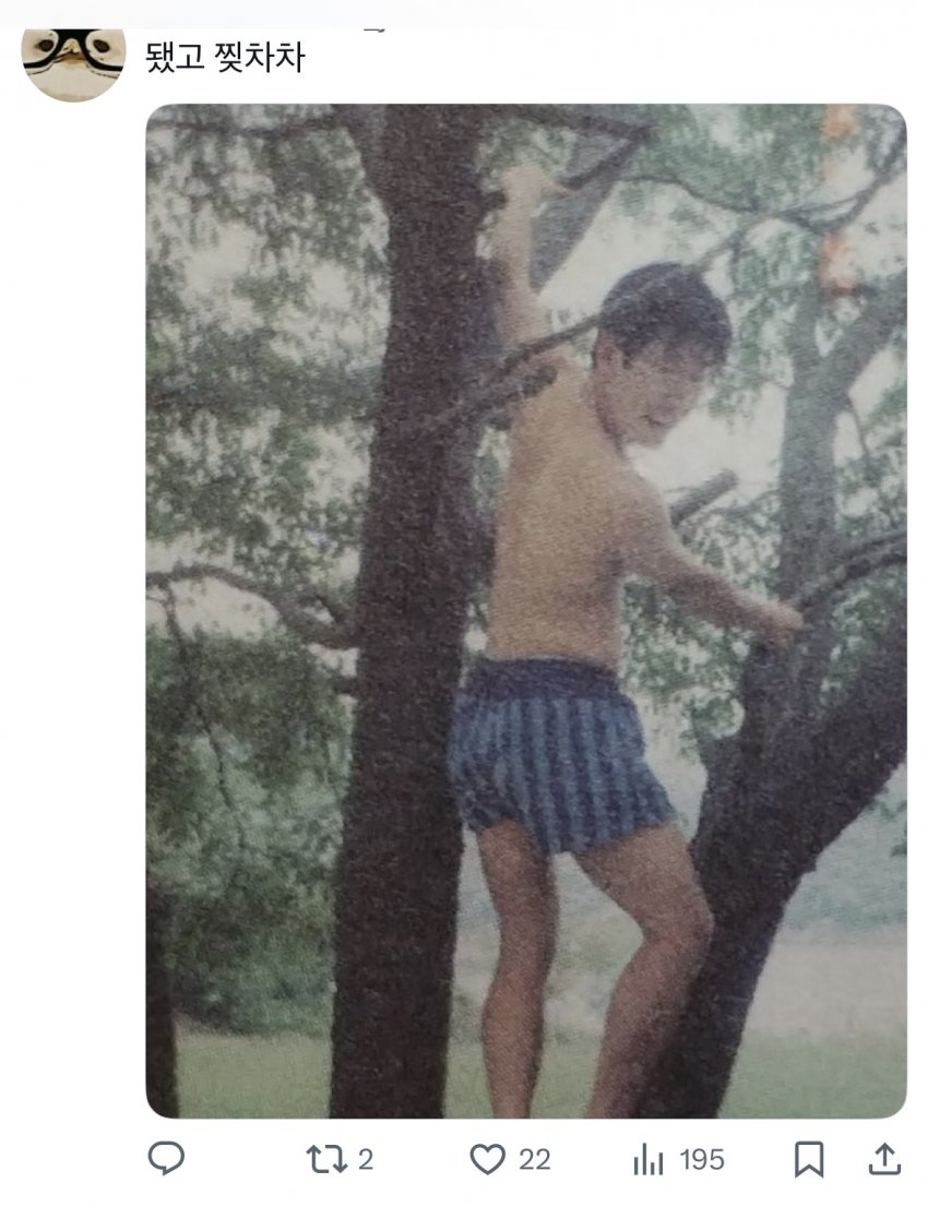 DC Inside 이미지 13