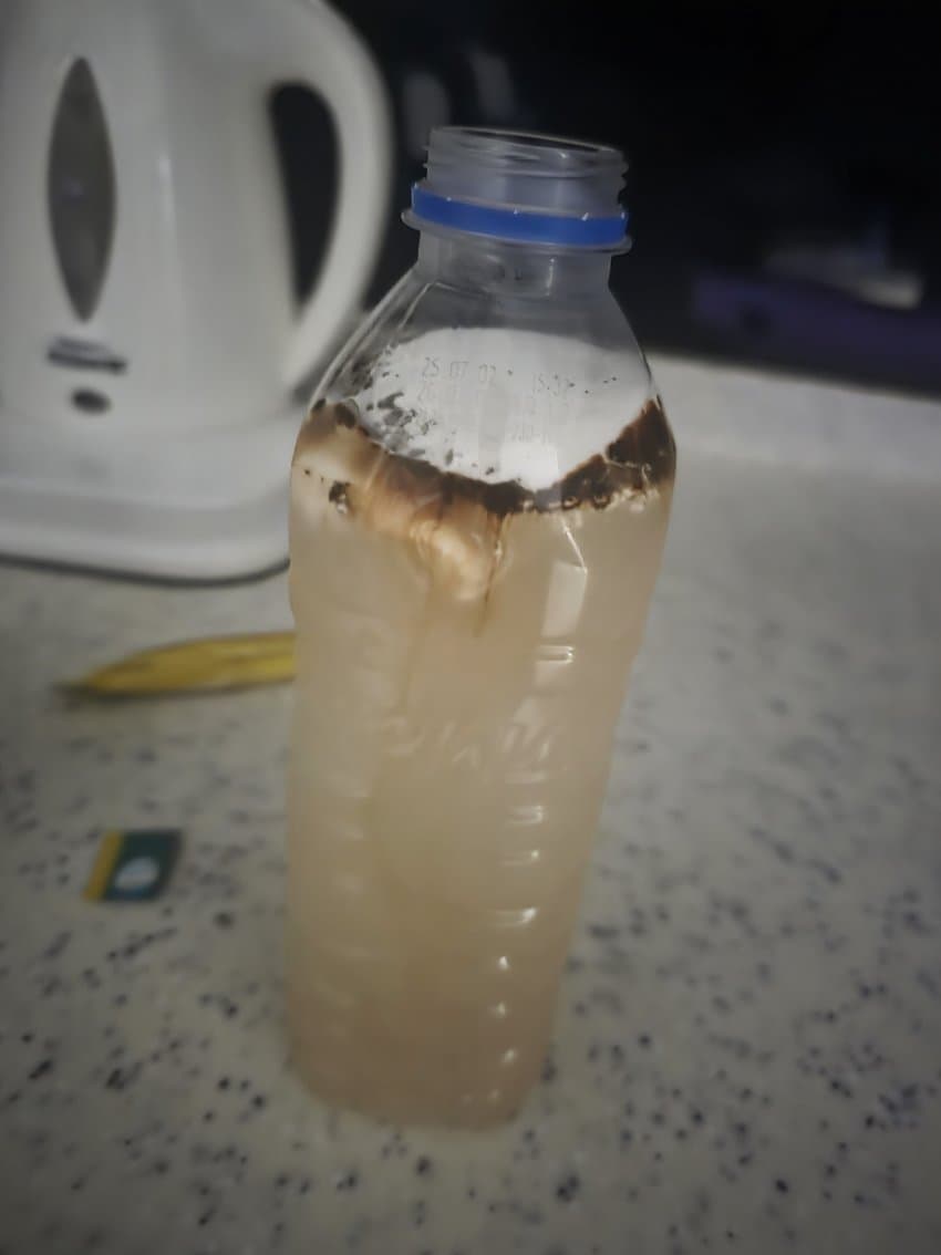 DC Inside 이미지 1