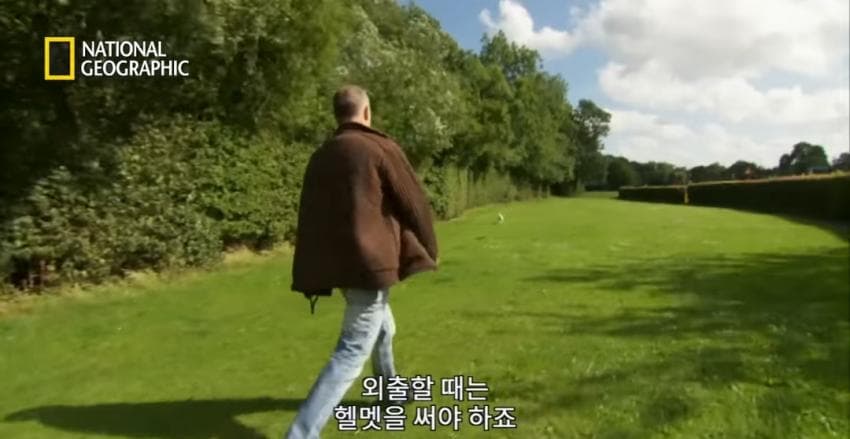 DC Inside 이미지 3