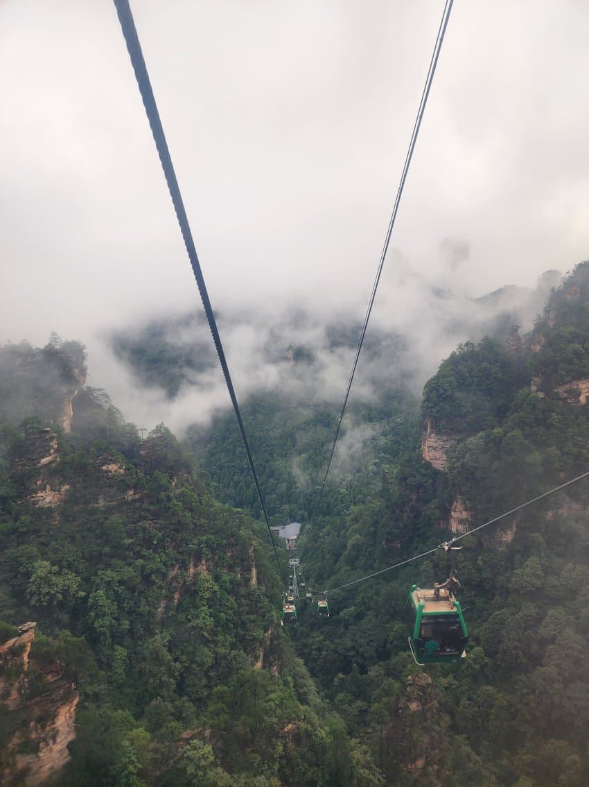 DC Inside 이미지 14