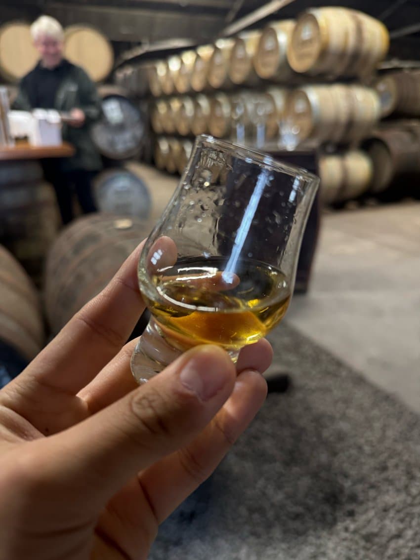 DC Inside 이미지 10