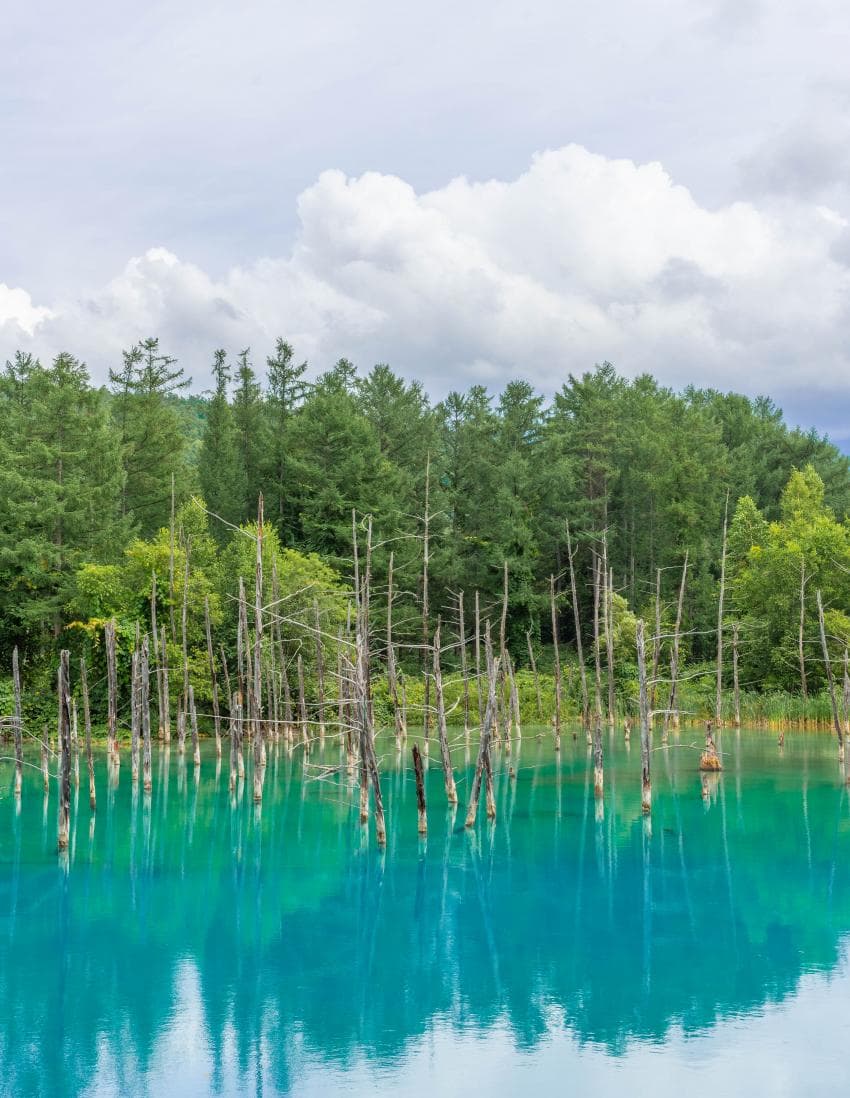 DC Inside 이미지 5