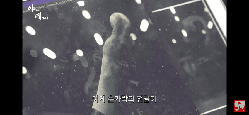 DC Inside 이미지 5