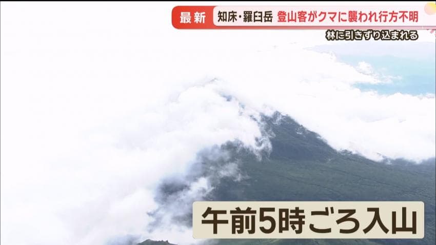 DC Inside 이미지 3