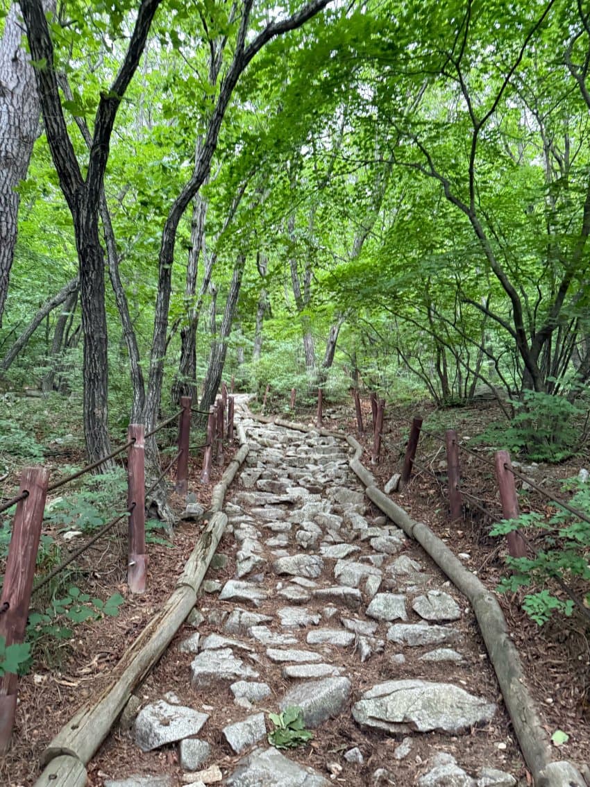 DC Inside 이미지 4