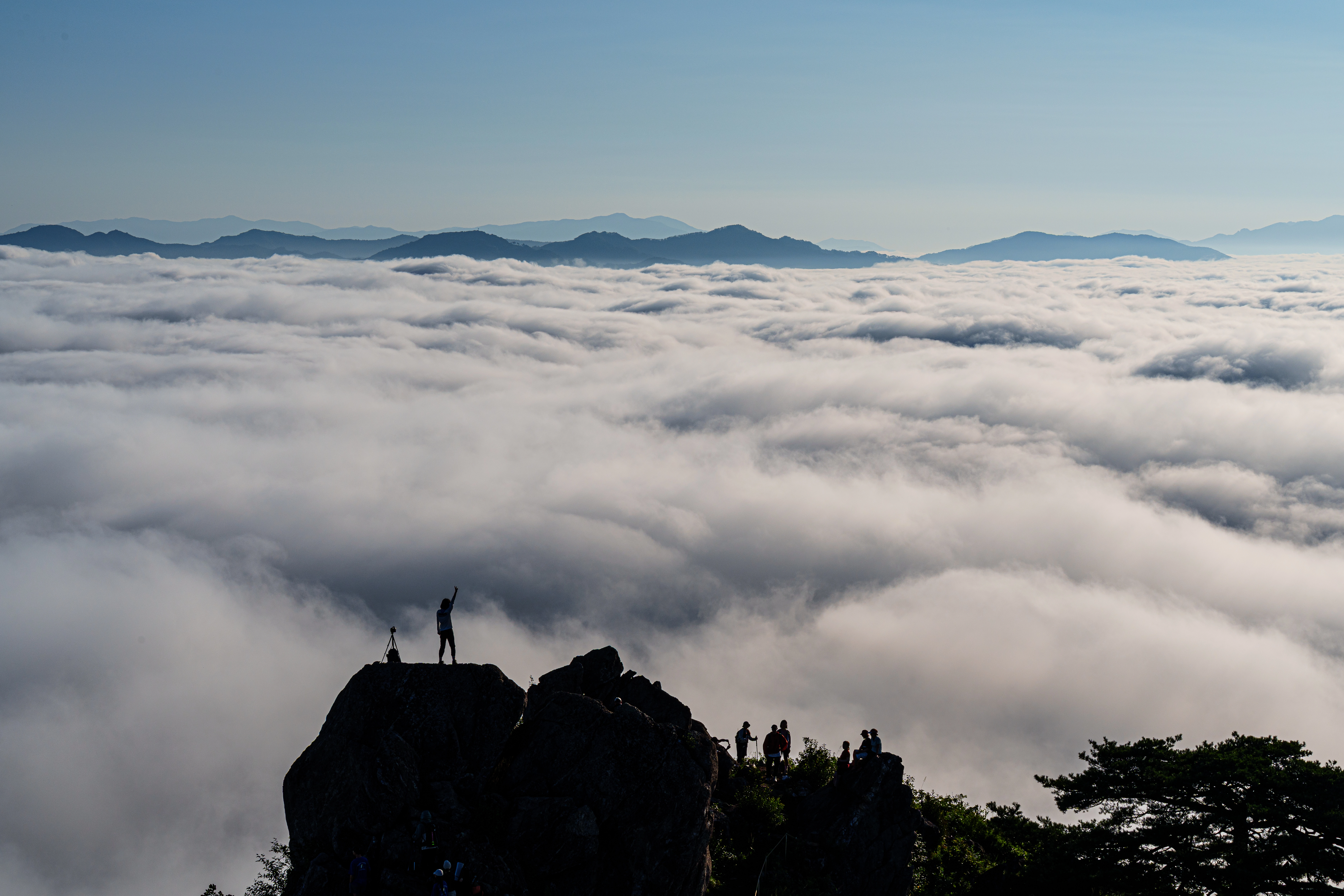 DC Inside 이미지 8