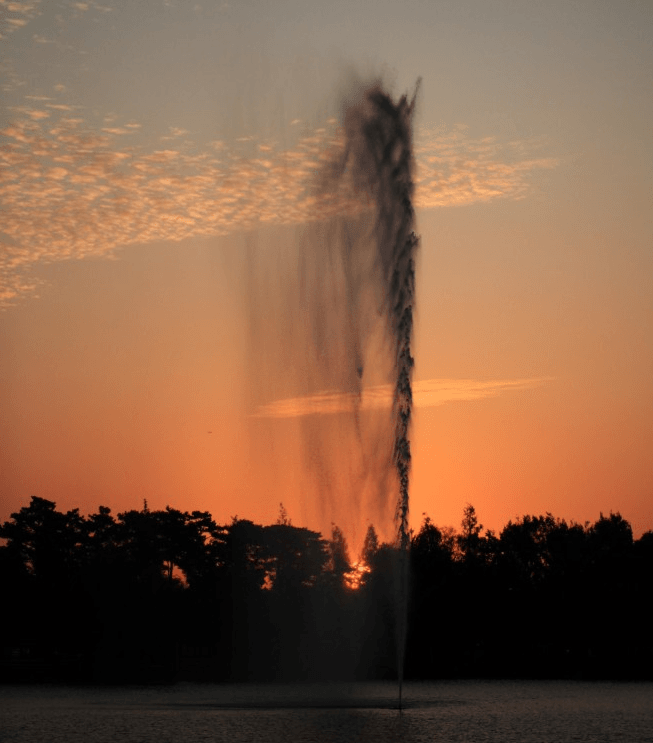 DC Inside 이미지 15