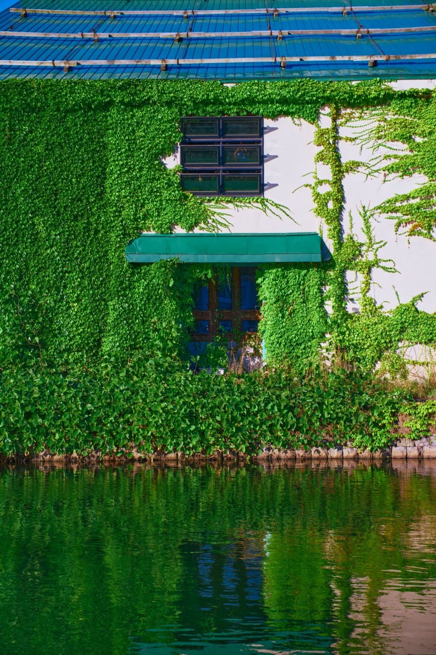 DC Inside 이미지 17