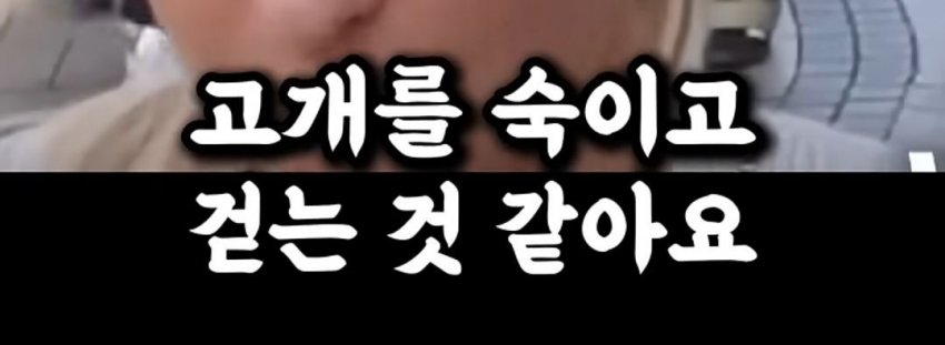 DC Inside 이미지 4